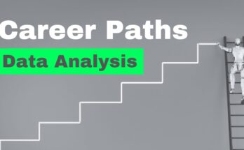 What is the Career Path for a Data Analyst?