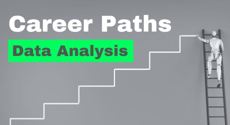 What is the Career Path for a Data Analyst?