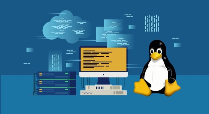 Linux Essentials: A Comprehensive Guide for Beginners