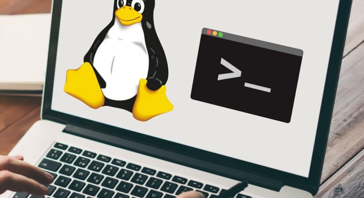 Best Online Linux Courses and Programs for Beginners
