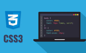 How to Learn CSS as a Beginner