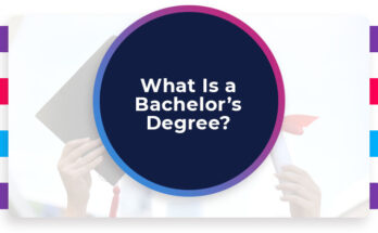 What is a Bachelor's Degree